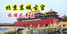 操的女大学生嗷嗷叫中国北京-东城古宫旅游风景区